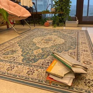 Area Rugs
